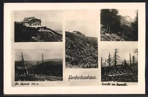 AK Hochscharhaus am Kepernik, Urwald