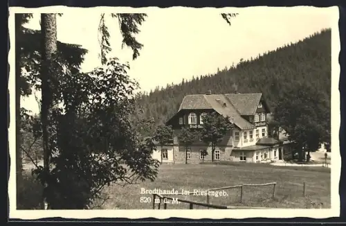 AK Brodtbaude im Riesengebirge