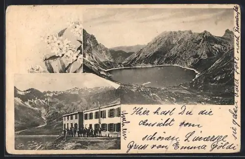 AK Douglashütte und Lünersee, Alpenblumen