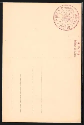 AK Dresdner Hütte, Berghütte mit Trögler und Peilspitze in den Stubaier Alpen