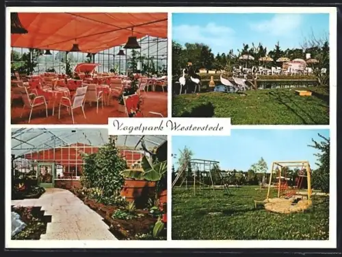 AK Westerstede, Fikensolterfeld, Cafe und Restaurant Vogelpark Westerstede, Spielplatz, Vögel