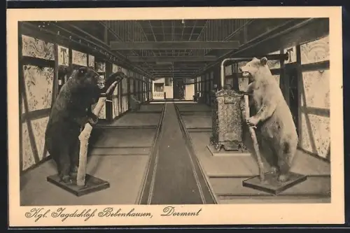 AK Bebenhausen, kgl. Jagdschloss, Dorment, Bären