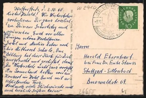 AK Westerstede i. O., auf dem Marktplatz, in der Kirchenstrasse, in der Peterstrasse, Blick in die Langestrasse