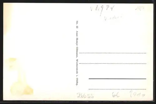 AK Westerstede, Kirche, Langestrasse, Peterstrasse, Marktplatz, Bahnhofstrasse