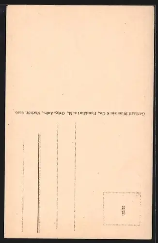 AK Alt-Frankfurt, Alter Markt mit Dom