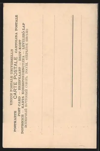 AK Frankfurt-Westend, Palmengarten, vom Schweizerhäuschen