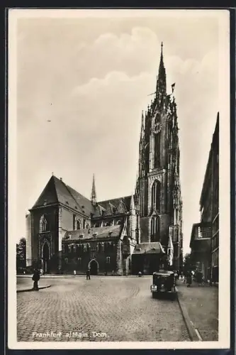 AK Alt-Frankfurt, Dom