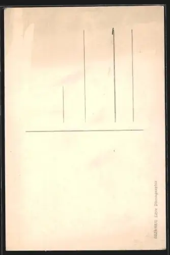 AK Alt-Frankfurt, Dom