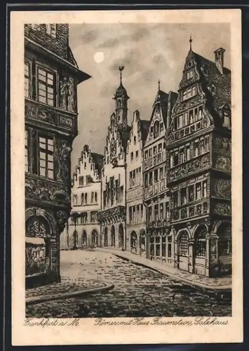 Künstler-AK Alt-Frankfurt, Römer mit Haus Frauenstein, Salzhaus