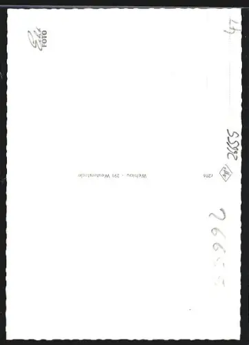 AK Westerstede, Peterstrasse