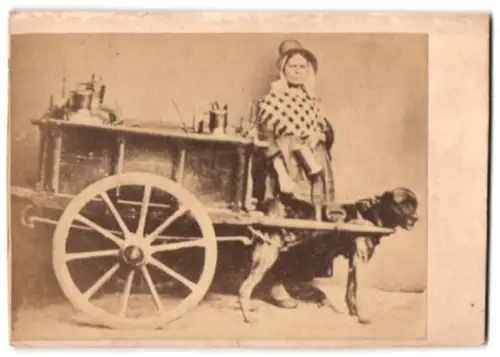 Fotografie unbekannter Fotograf und Ort, belgische Milchhändlerin mit Hundegespann, Milchkarren