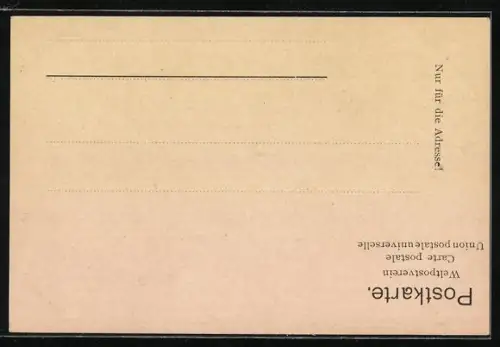 AK Passagierschiff Pennsylvania der Hamburg-Amerika Linie