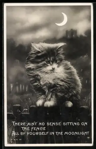 AK Kleine Katze, bei Mondschein auf einem Zaun sitzend