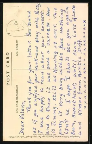 AK Wash and Brush Up, Cat