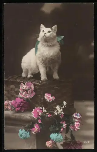 AK Weisse Katze mit Schleife, Blumen