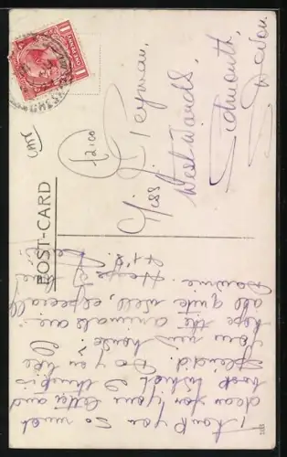 AK Auf dem Bauch liegende Katze, Portrait