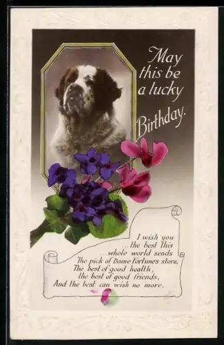 AK Bernhardiner, Blumen, Geburtstagsgruss