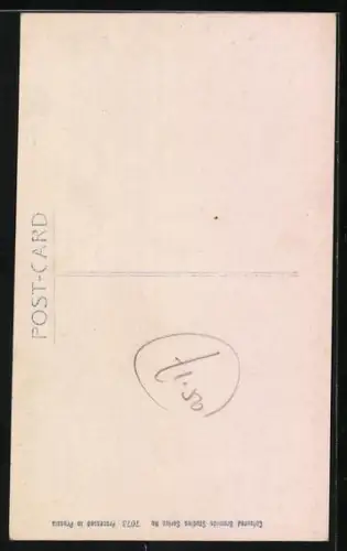 AK Katze mit aufmerksamem Blick, Portrait