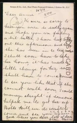 AK Keymer Sir Patrick, Cat