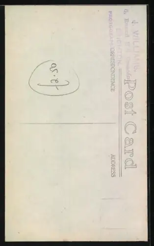 AK Katze mit grossen Augen, Portrait