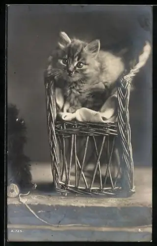 AK Katzenkind auf einem Korbgestell