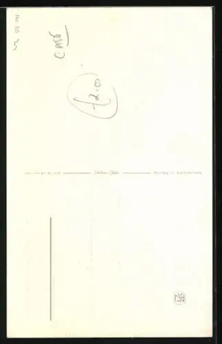 AK Katze in einem Garten