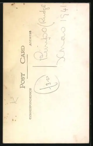 AK Katze im Gras, Portrait