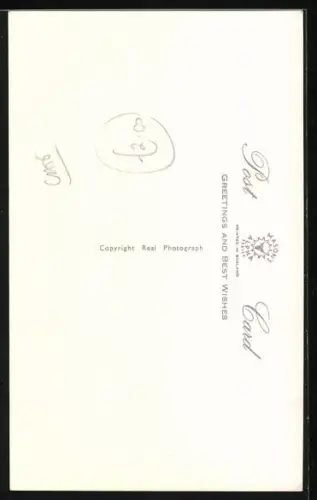 AK Katze in einer Tragetasche