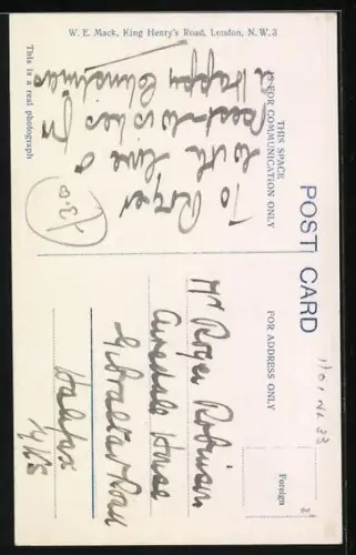 AK Sitzende weisse Katze, Portrait