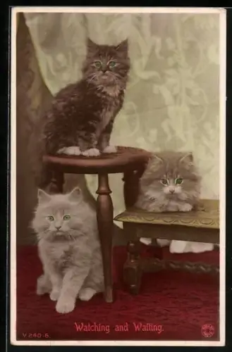 AK Drei Katzenkinder mit Blumenhockern