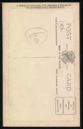 AK Snowball, Portrait