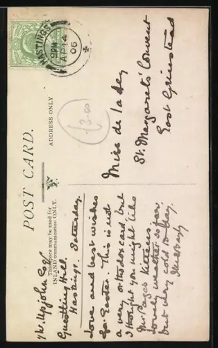 Foto-AK Zwei Katzenbabys, 1906