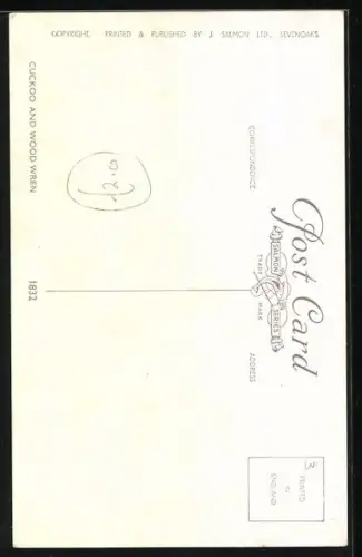 Künstler-AK Cuckoo and Wood Wren, Kuckuck auf einem Ast