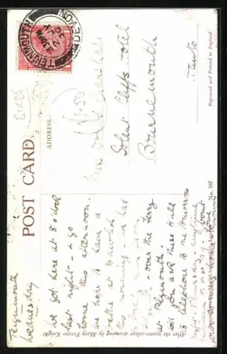 AK Young White Throats, Junge Weisskehlchen