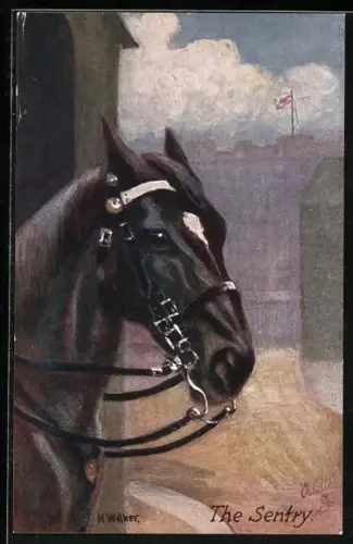 Künstler-AK Portrait eines Rappen an der Pferdebox