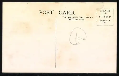 AK London, Zoo, Polar Bears in the water