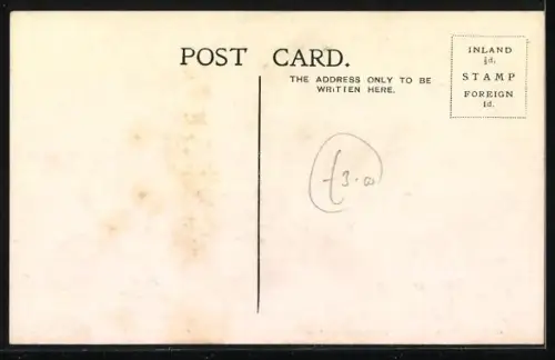 AK Polar Bears at the London Zoo, Eisbären im Londoner Zoo