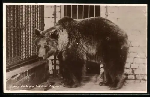 AK Primley Zoological Gardens, Paignton