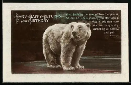 AK Eisbär an einem Wasserbecken, Geburtstagsgruss