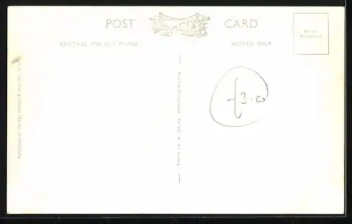 AK Bristol, Zoo, The Polar Bears