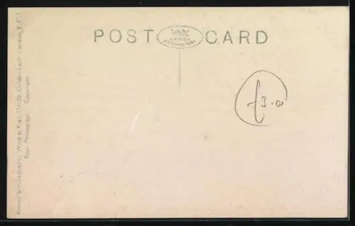 AK The Malayan Tiger