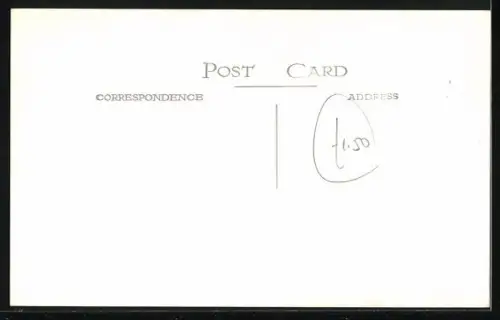 Foto-AK Löwenpaar in einem Freiluft-Gehege