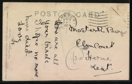 AK Jaguar in einem Freiluftgehege