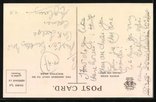 AK Zwei Reitpferde, braun und weiss