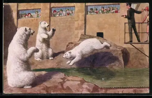 AK Polar Bears in the Zoo earning their dinners