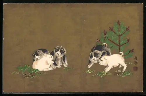 AK Fünf spielende Hundewelpen im Grünen