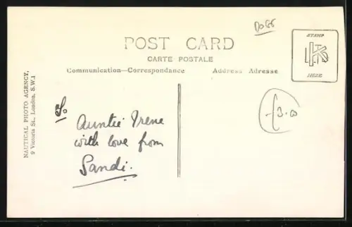 Foto-AK Junger Terrier Sandi im Sonnenschein, Portrait