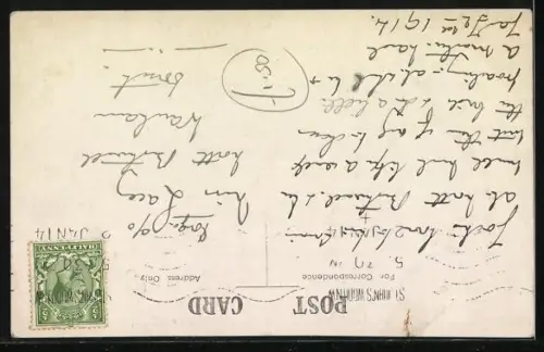 Foto-AK Terrier auf einer Sitzbank