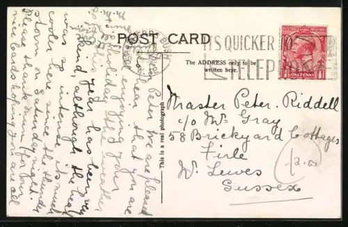 AK Stop me and Buy one, Hundemutter mit Wurf