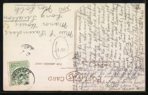 AK Don`t make me laugh, Collie